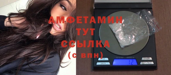 гашик Гусев