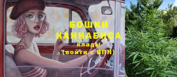 гашик Гусев