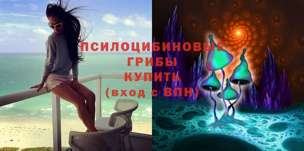 гашик Гусев