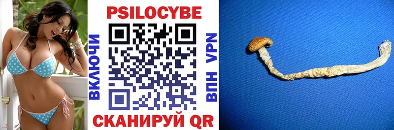 Псилоцибиновые грибы Magic Shrooms  Купить где  Чекалин 